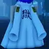 Shiryu's Cape photo