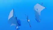 Soul king's Ship image